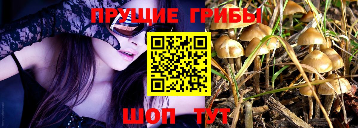 Кандалакша  Галлюциногенные грибы Magic Shrooms  Вход с VPN 